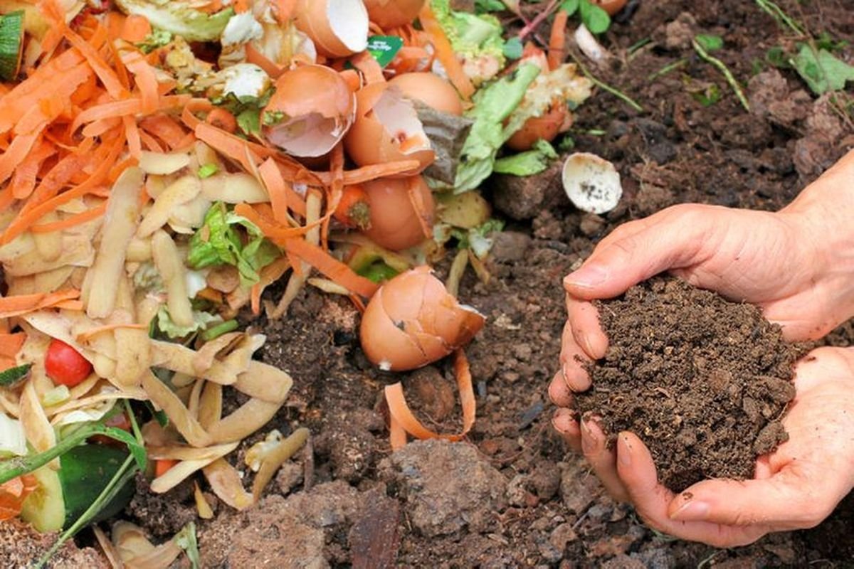 Taller sobre separaci&oacute;n de restos org&aacute;nicos, compostaje y huerta, en San Mart&iacute;n de los Andes