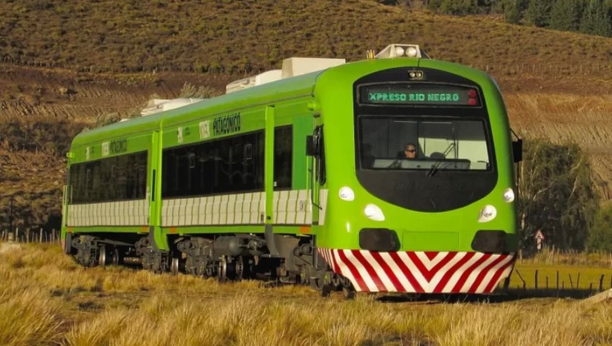 Tren Patag&oacute;nico