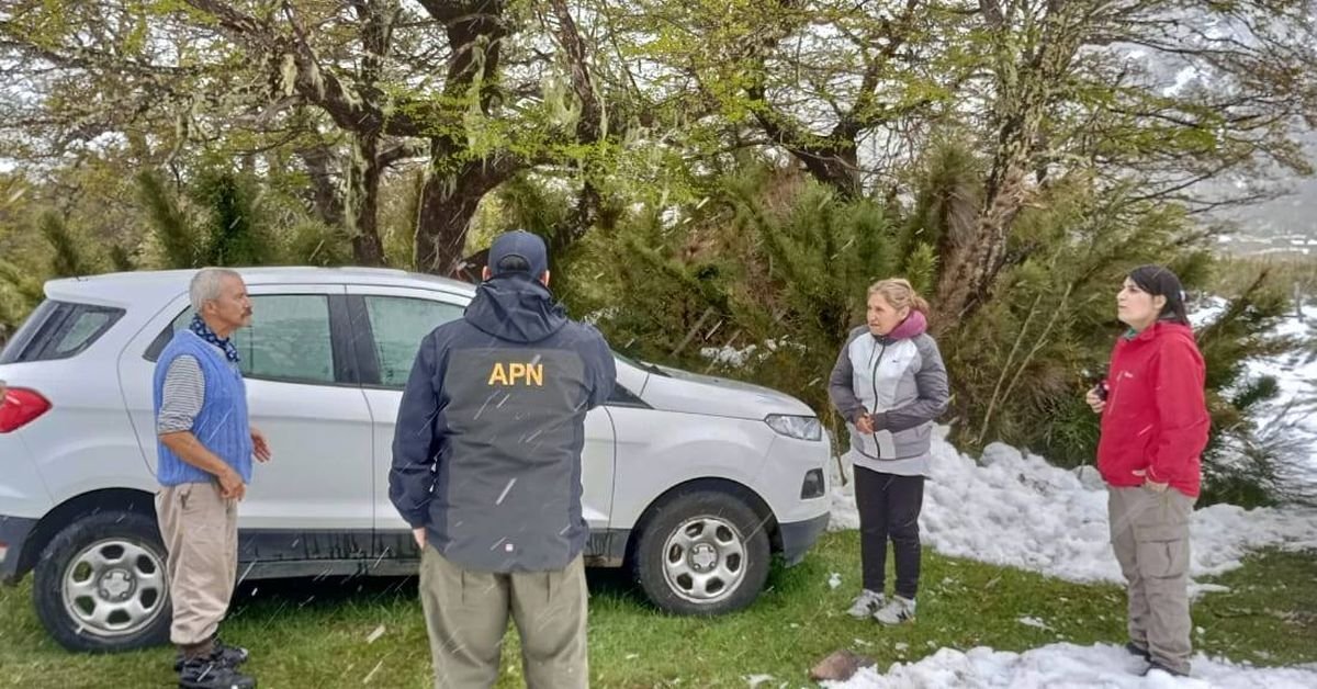B&uacute;squeda y rescate de turistas en el Parque Nacional Lan&iacute;n