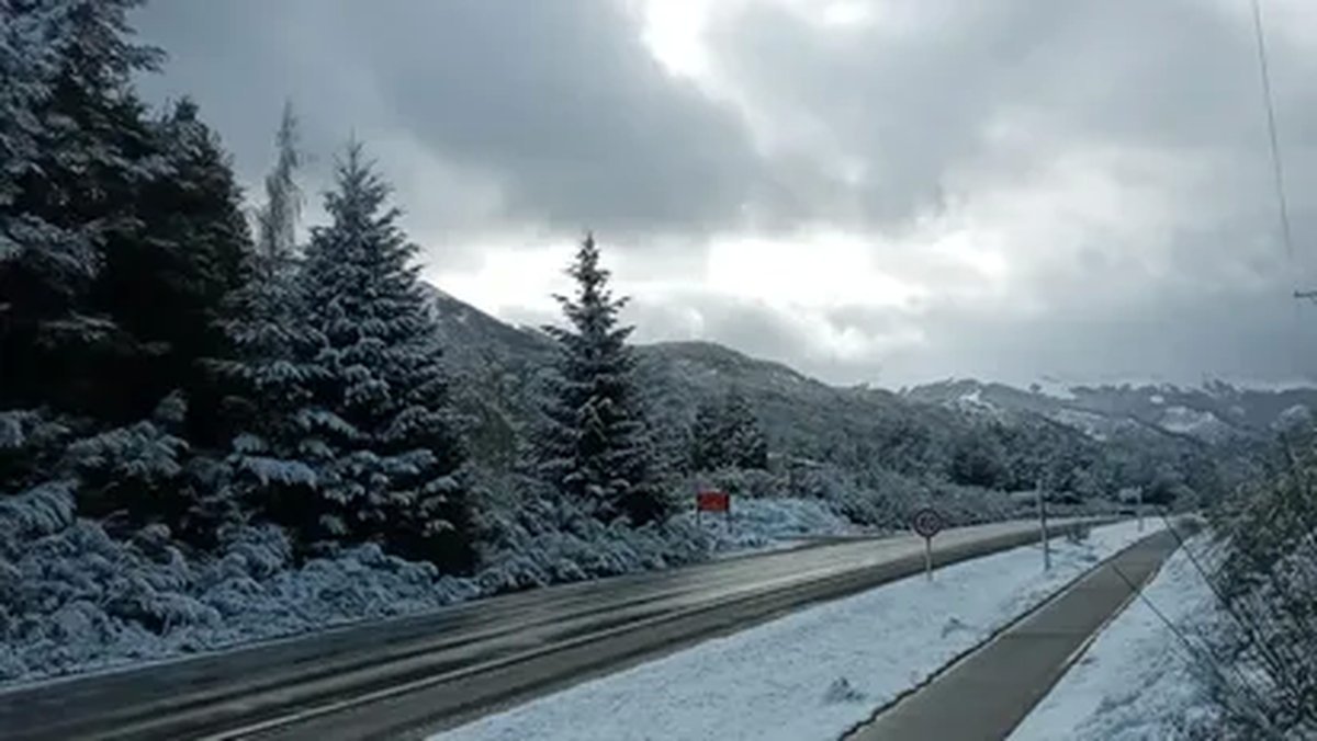 Clima: alertas por nevadas en la regi&oacute;n