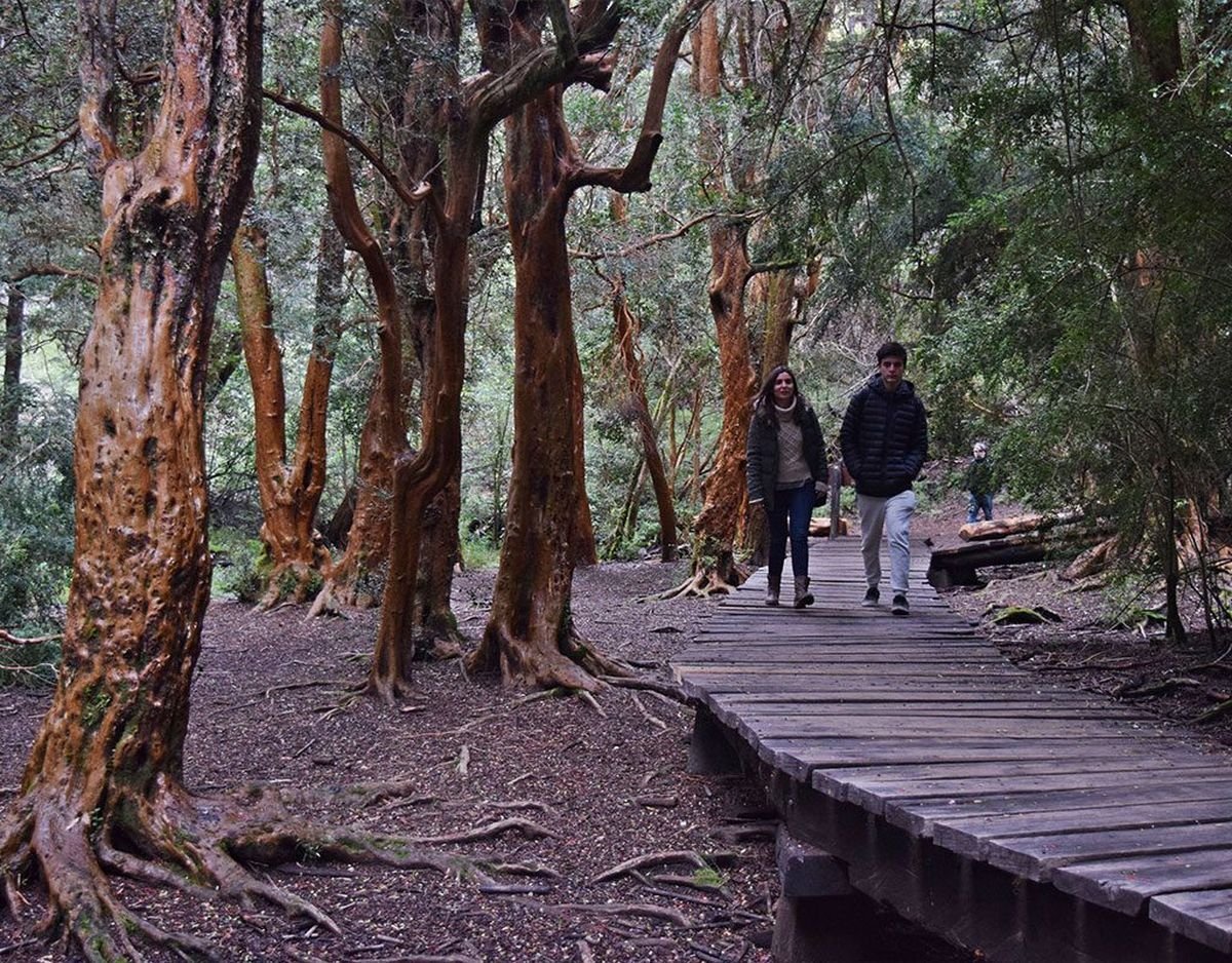 Parque Municipal Llao Llao en Bariloche
