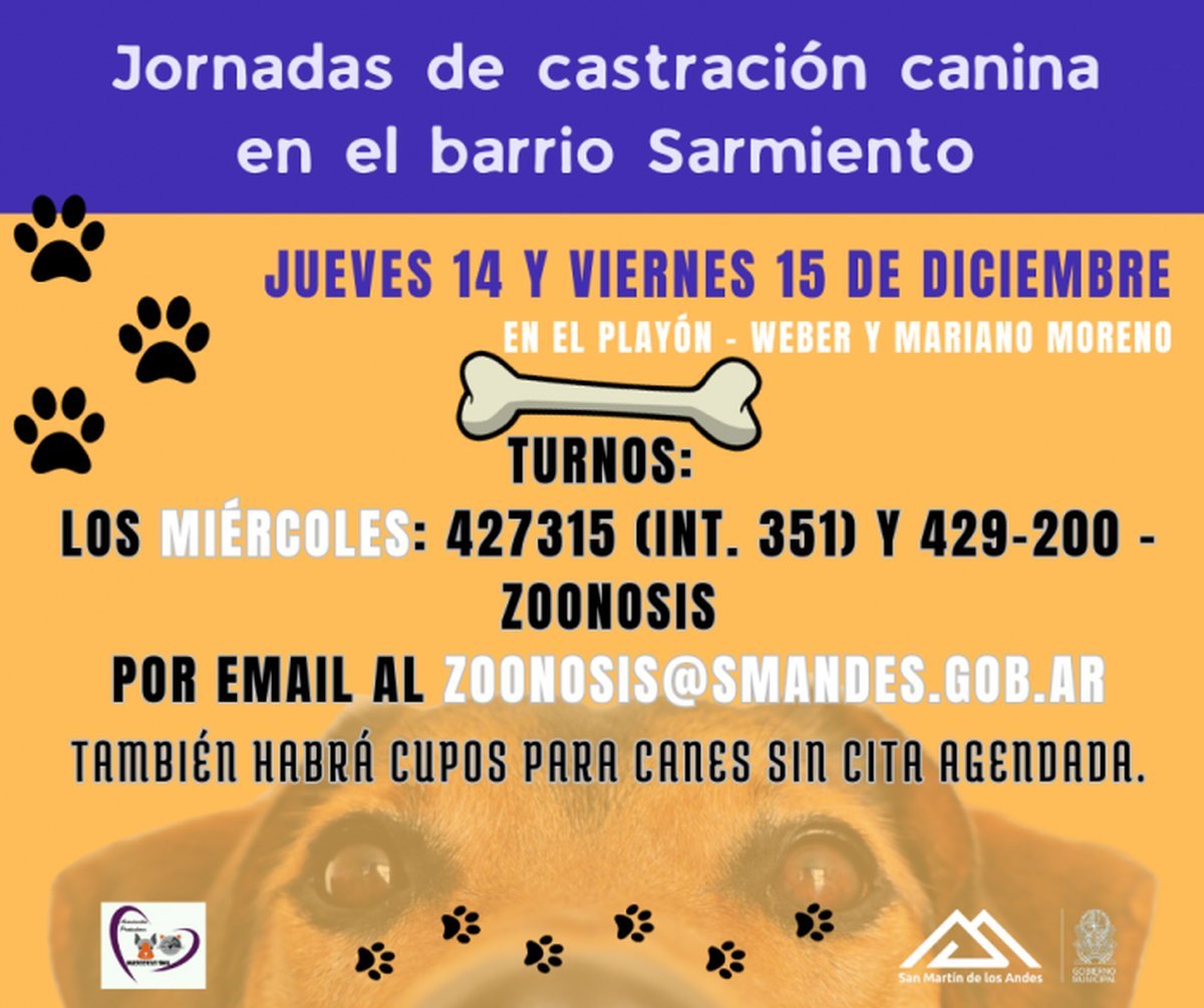 Jornadas de castraci&oacute;n gratuitas en San Mart&iacute;n de los Andes.