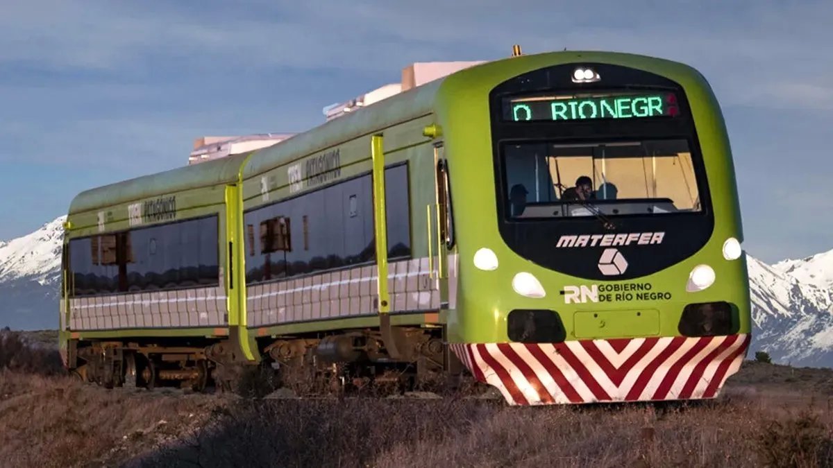 Tren Patag&oacute;nico