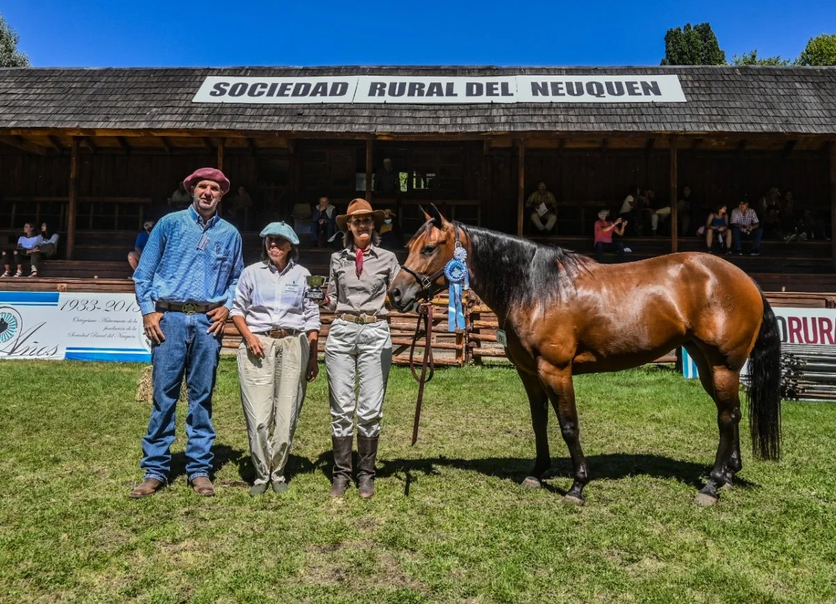 Neuquén: confirmaron la realización de la Expo Rural | Diario 7 lagos
