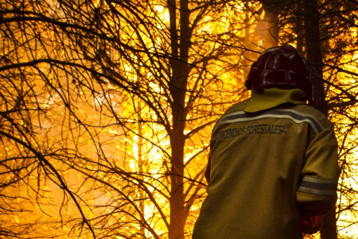 Alerta extrema por altas temperaturas y riesgo de incendios