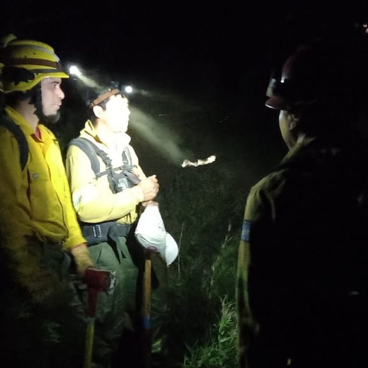 San Mart&iacute;n: Un fog&oacute;n mal apagado deriv&oacute; en un incendio