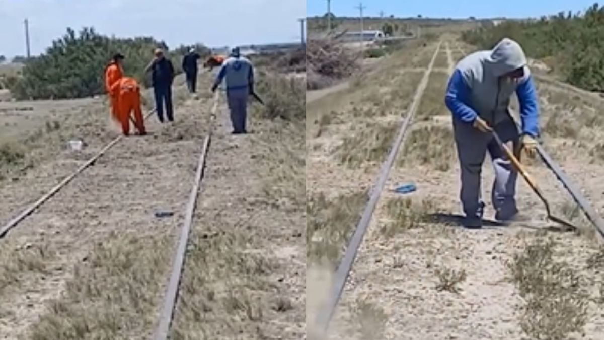 Avanzan las obras en las v&iacute;as del Tren Patag&oacute;nico.