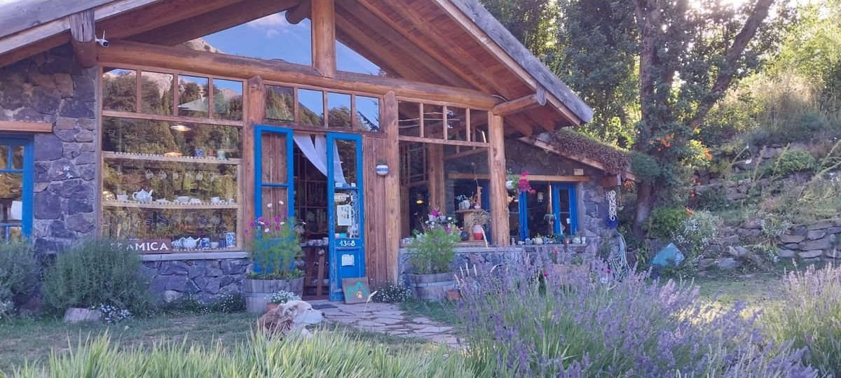 La Siesta Arte (Villa La Angostura)