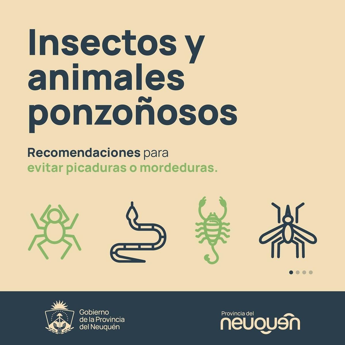 Salud: mordeduras y picaduras de insectos en Neuqu&eacute;n.