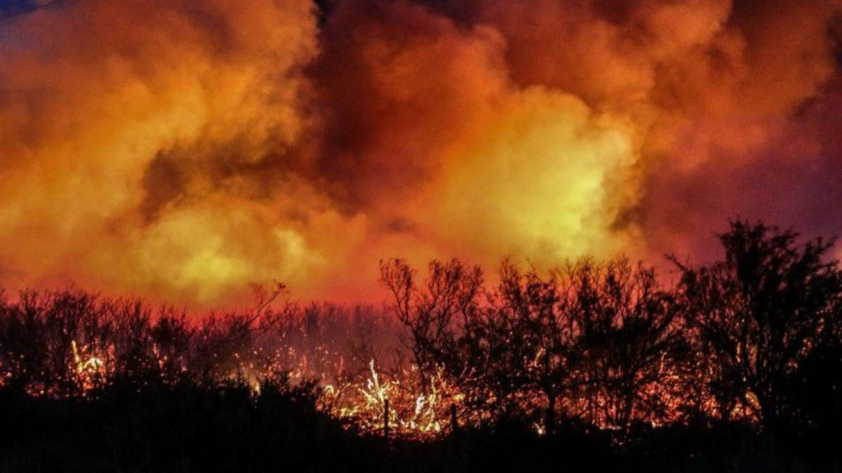 Recomendaciones para evitar incendios forestales