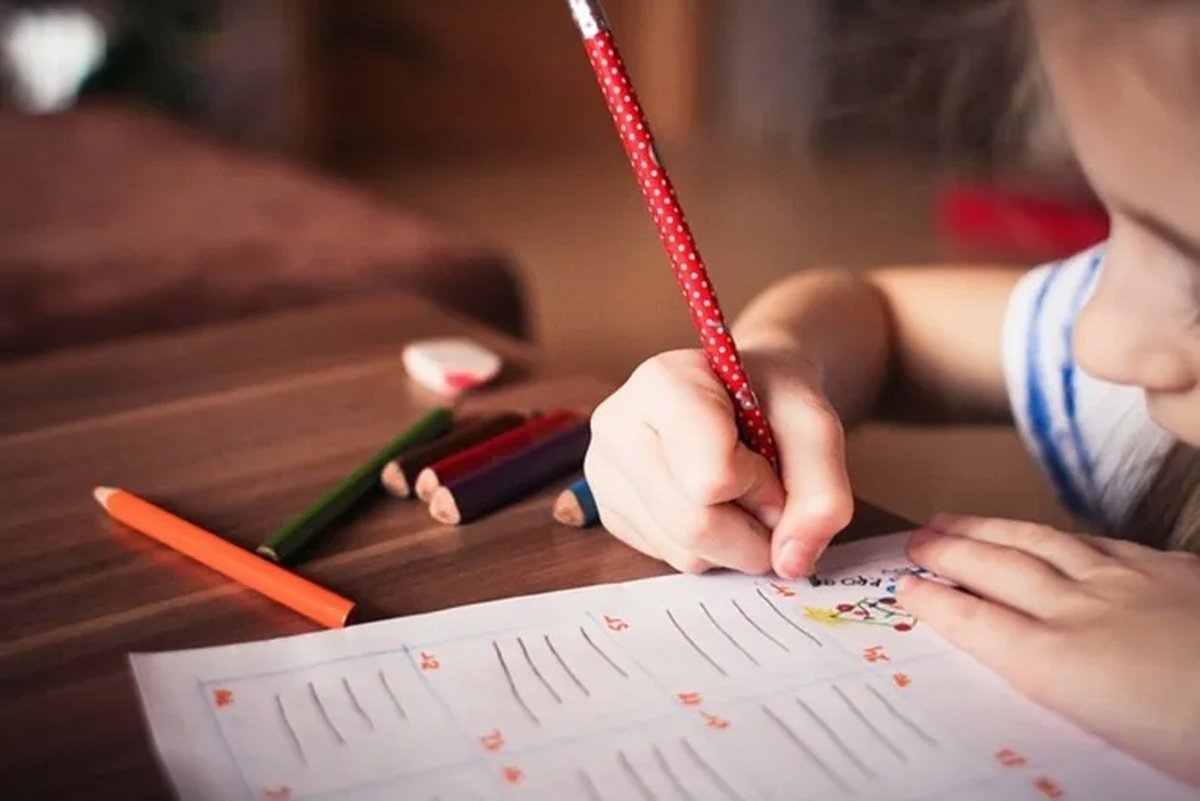 ANSES: C&oacute;mo tramitar la Ayuda Escolar Anual