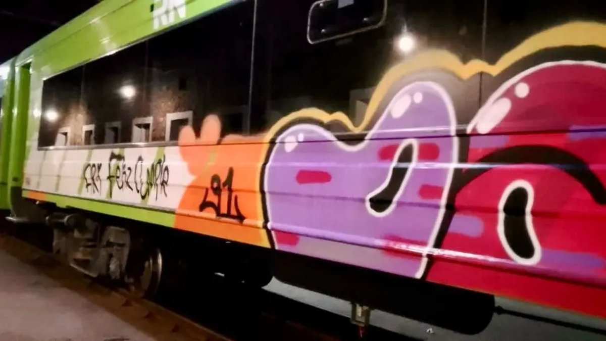 Hechos de vandalismo en el Tren Patag&oacute;nico