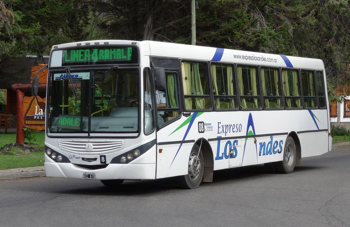 Subsidios: San Mart&iacute;n de los Andes se qued&oacute; sin transporte de pasajeros