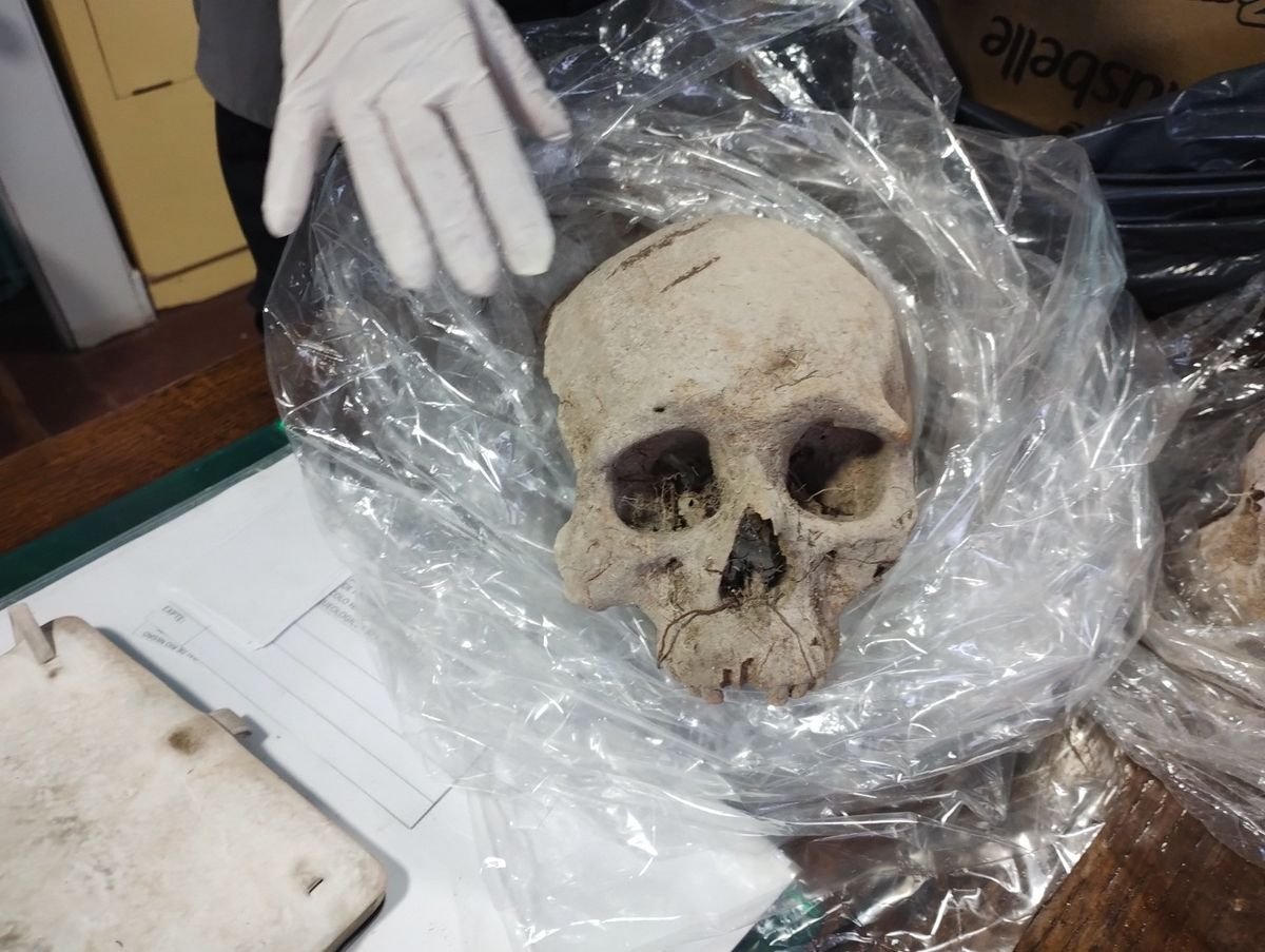 Restos arqueol&oacute;gicos hallados en R&iacute;o Negro