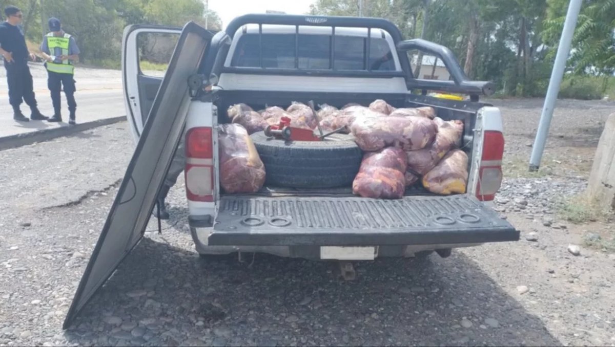 Viajaba con carne de caballo ilegal a Neuqu&eacute;n. Foto: La Arena.