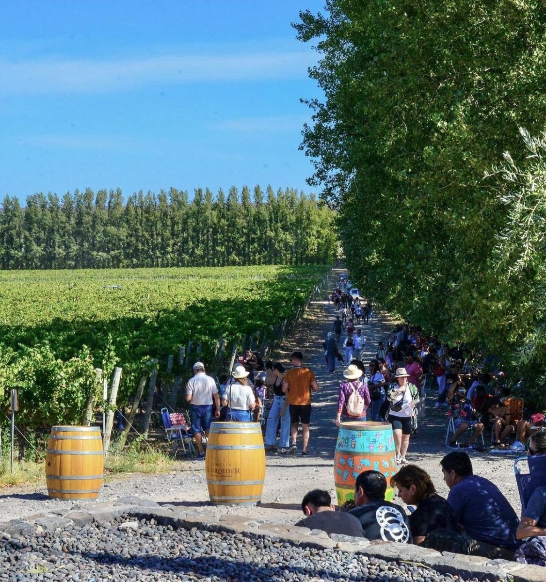 Llega la 4ta edici&oacute;n de la Vendimia de Neuqu&eacute;n