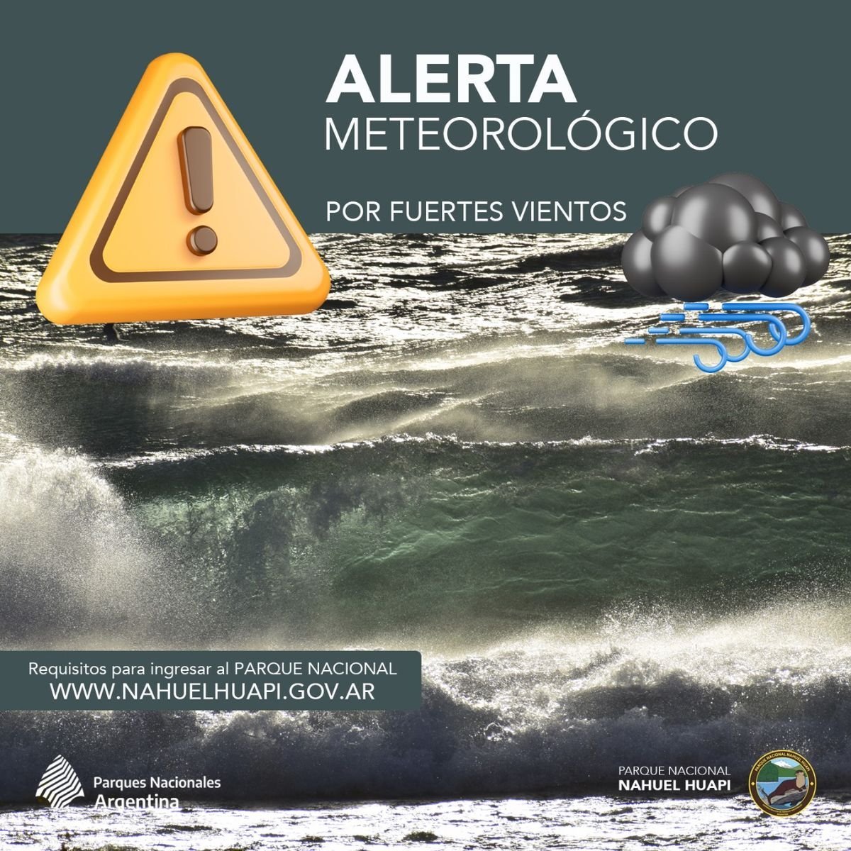 Alerta por fuertes vientos en la regi&oacute;n cordillerana