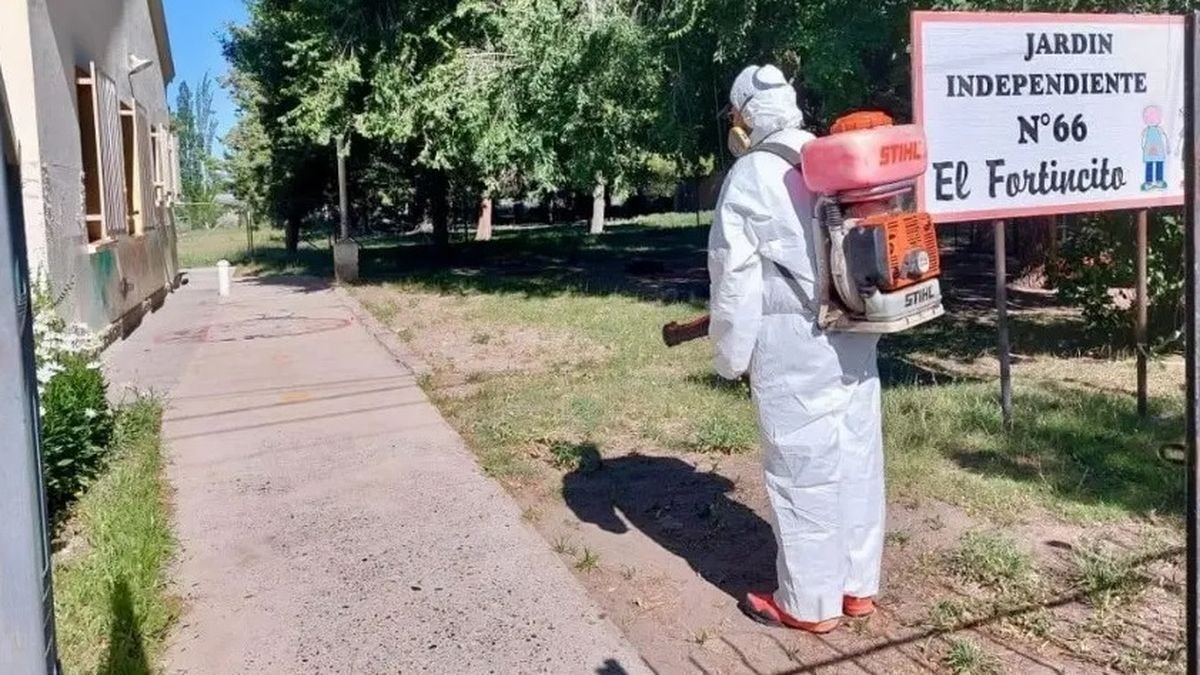 R&iacute;o Negro fumig&oacute; m&aacute;s de 800 establecimientos educativo de cara a la vuelta a clases.