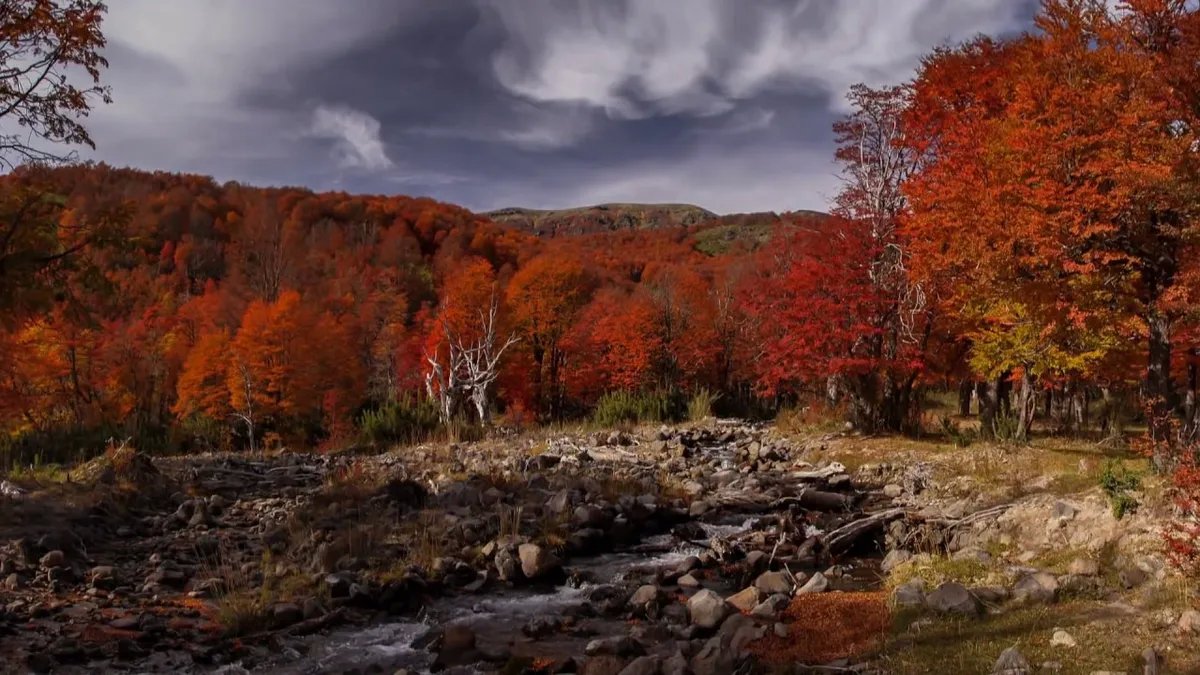 Semana soleada y con bajas temperaturas en la regi&oacute;n cordillerana