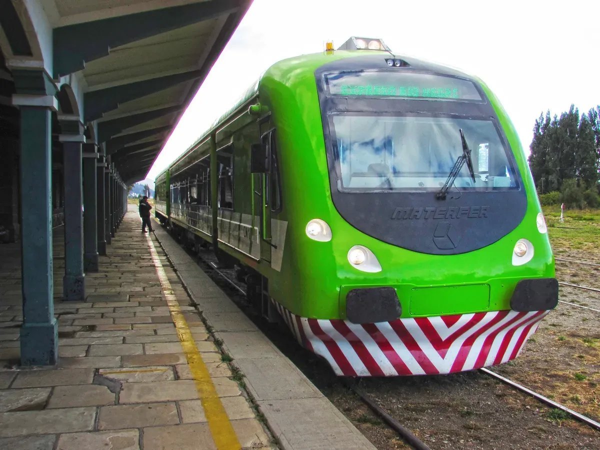 Tren Patag&oacute;nico