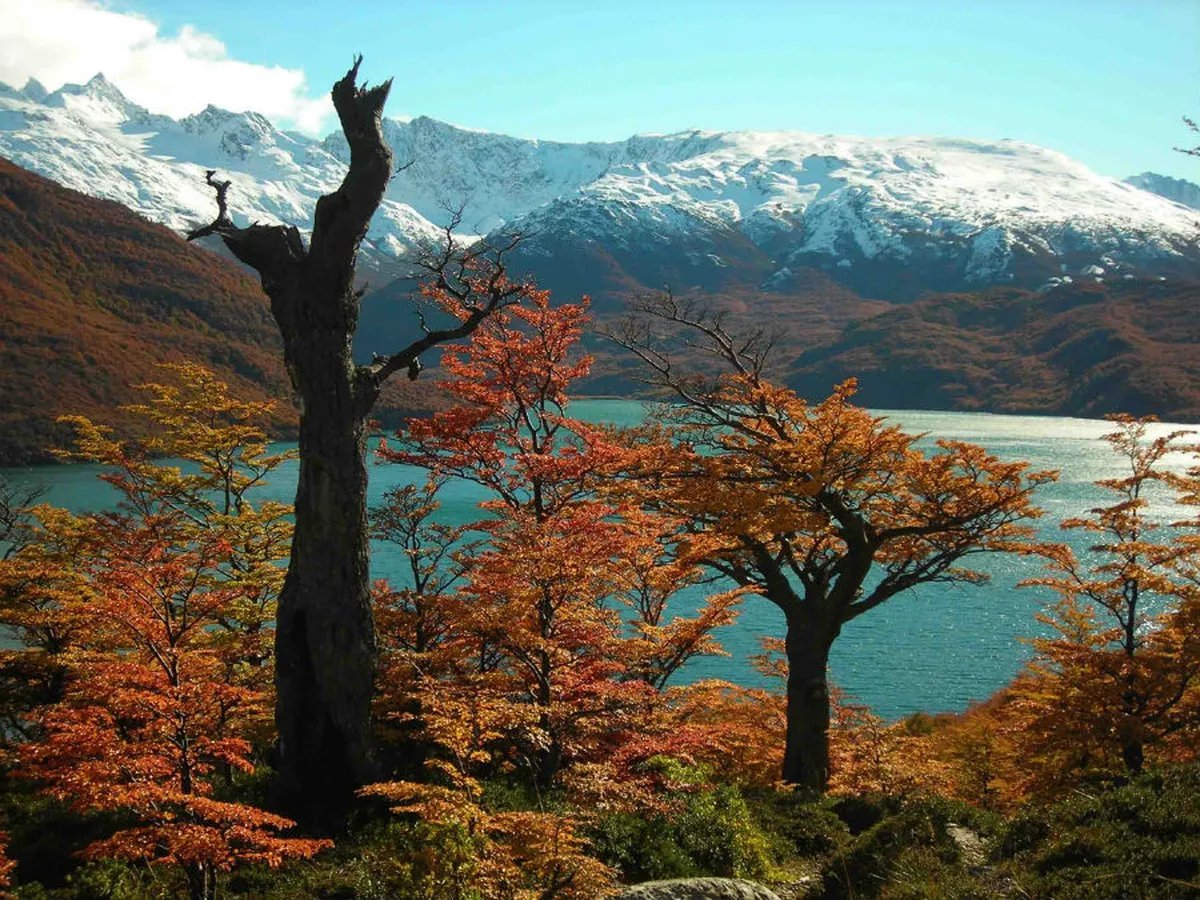 Clima para el fin de semana en la regi&oacute;n cordillerana