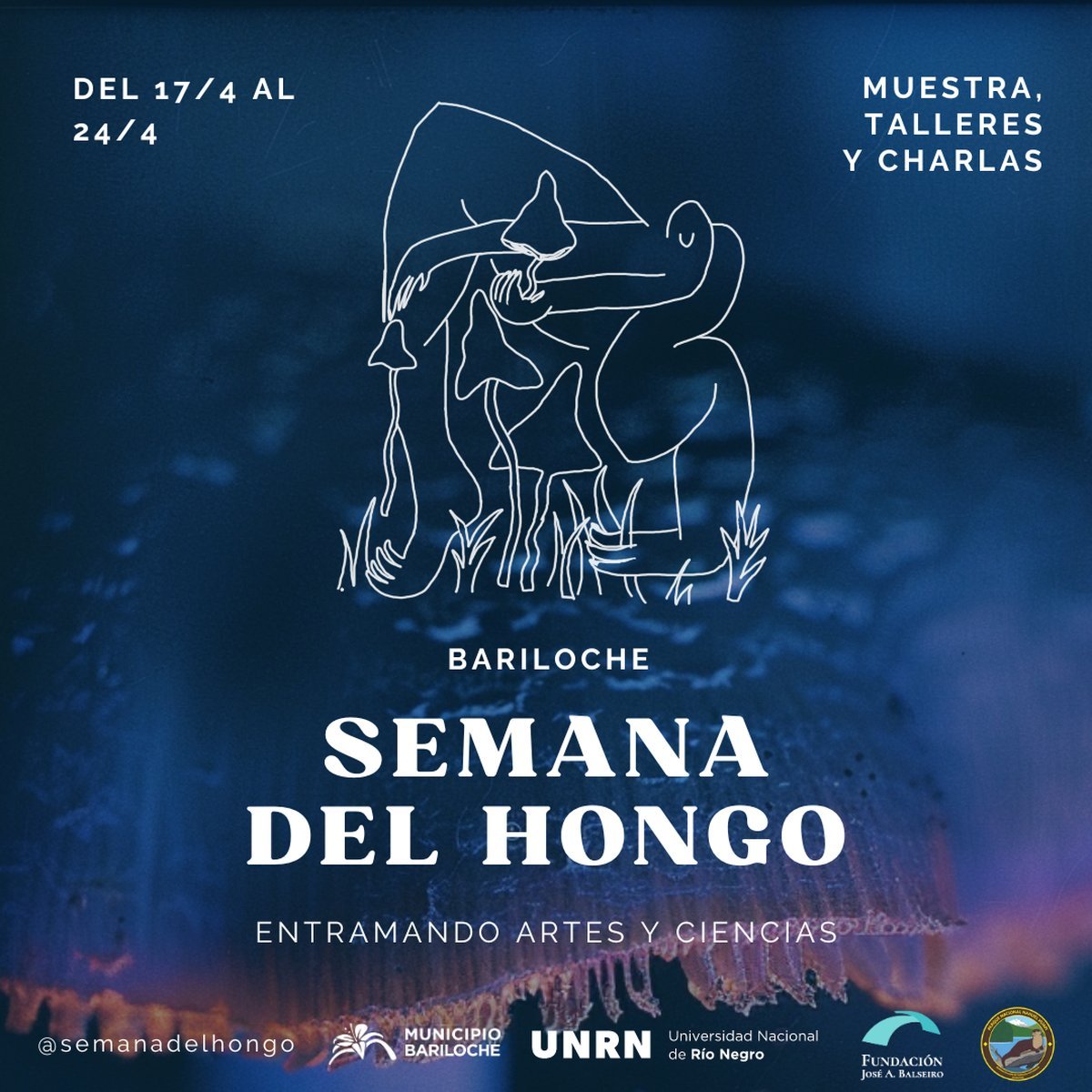 La "Semana del Hongo" llega a Bariloche con un cronograma repleto de actividades