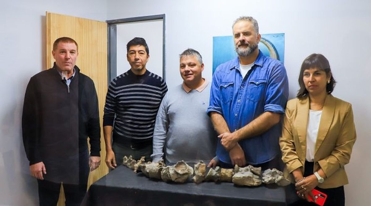 Se present&oacute; en el museo de Villa El Choc&oacute;n el plesiosaurio descubierto en la Ant&aacute;rtida