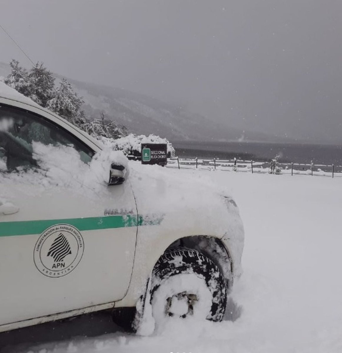 Las intensas nevadas que comenzaron hace dos semanas en la regi&oacute;n y ti&ntilde;eron de blanco los paisajes del Parque Nacional Lan&iacute;n.