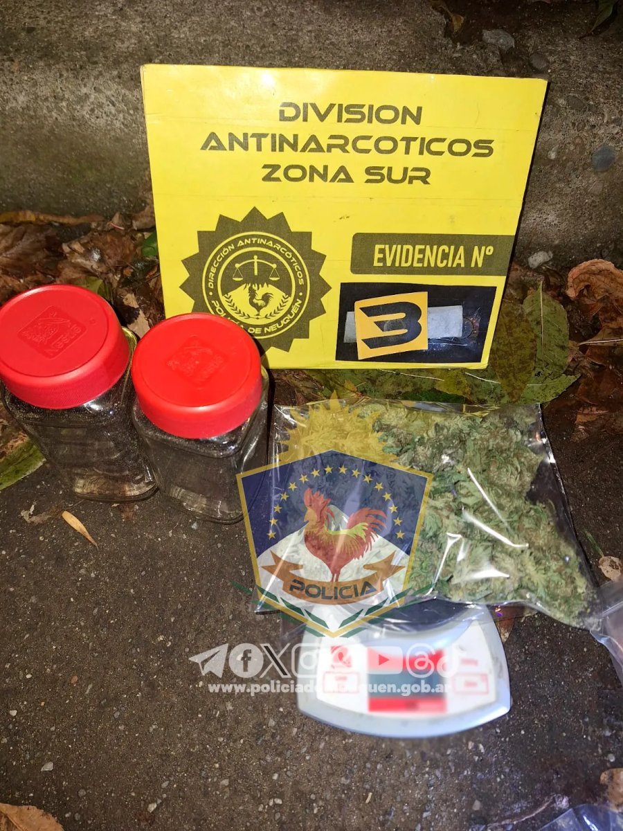 San Mart&iacute;n de los Andes: secuestran droga en un operativo policial