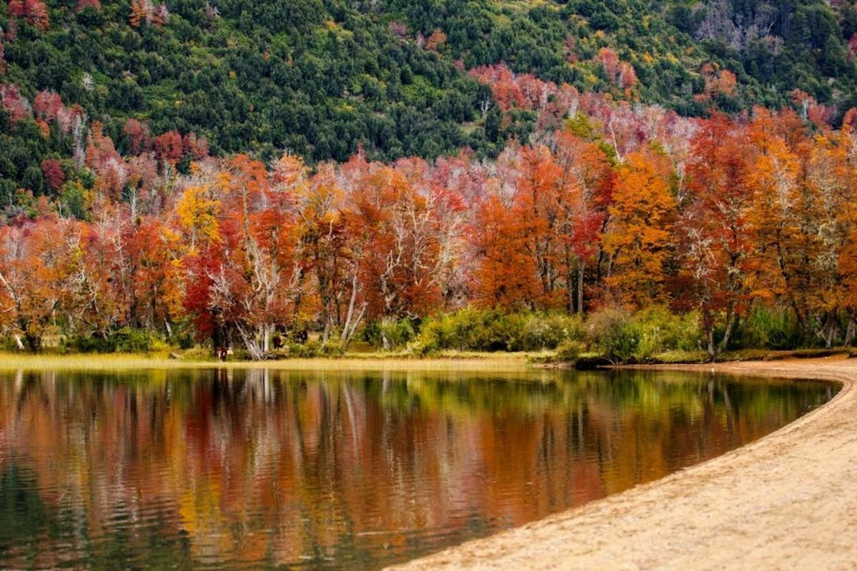 Oto&ntilde;o en Neuqu&eacute;n: escapadas y actividades para disfrutar al m&aacute;ximo