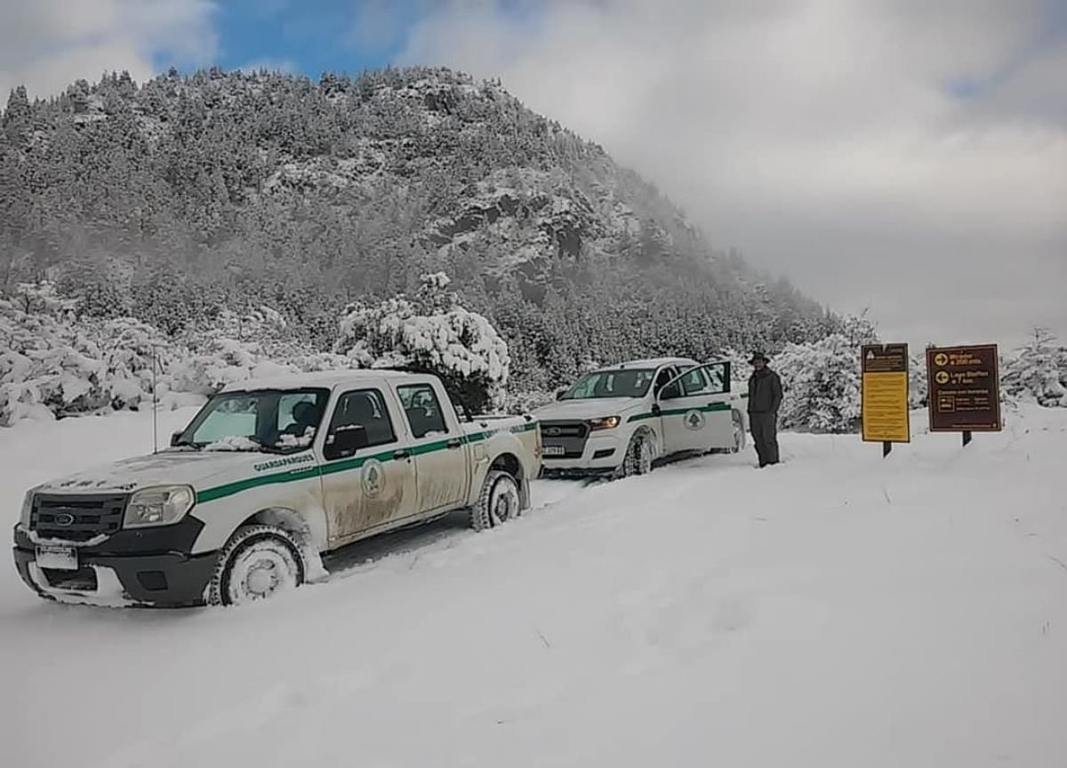 La nieve ti&ntilde;e de blanco el Parque Nacional Nahuel Huapi en Bariloche.