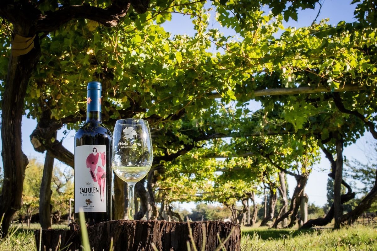 Feria Puro Vino Bariloche