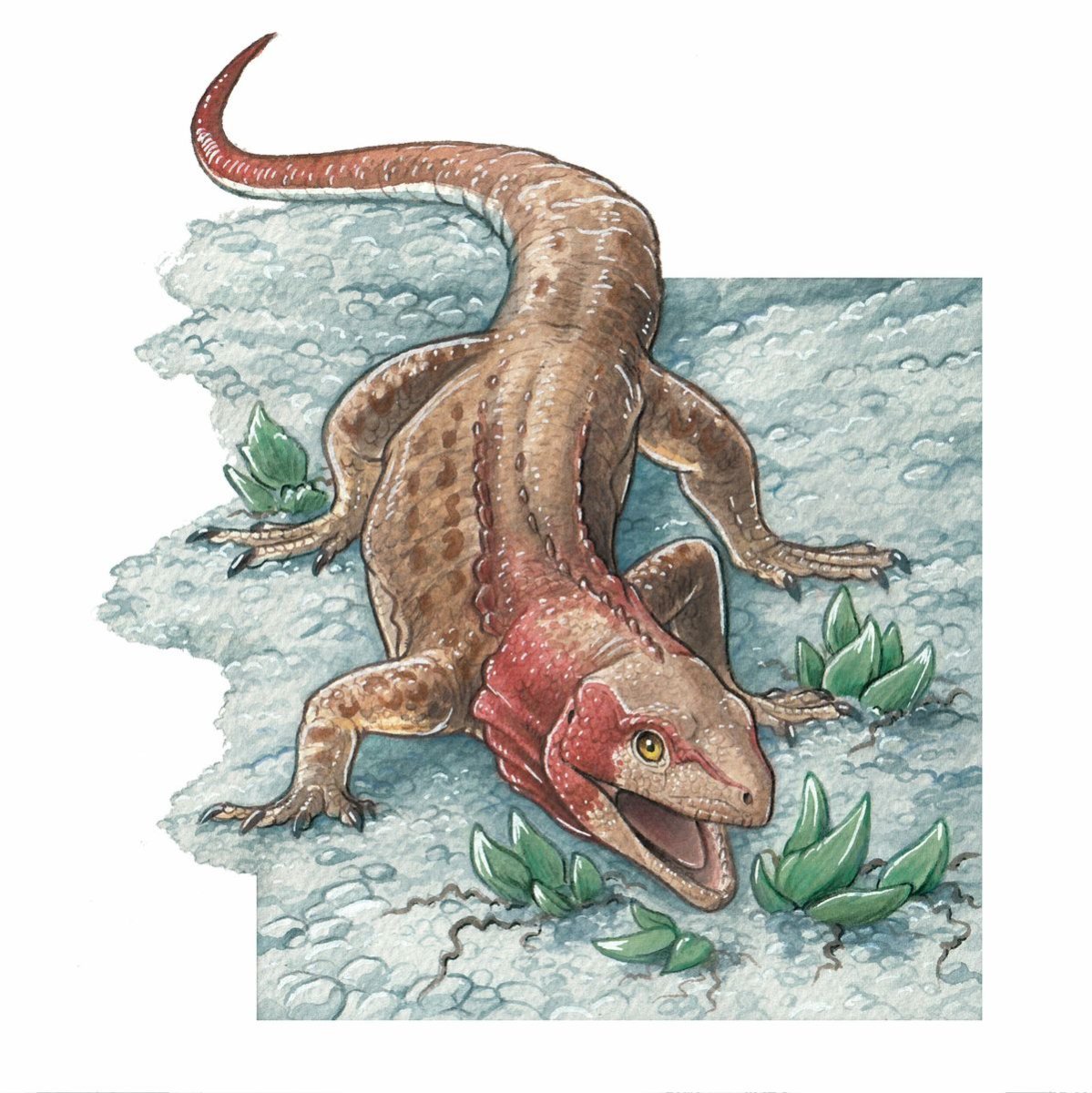El f&oacute;sil hallado en R&iacute;o Negro es el de un lagarto de 70 millones de a&ntilde;os