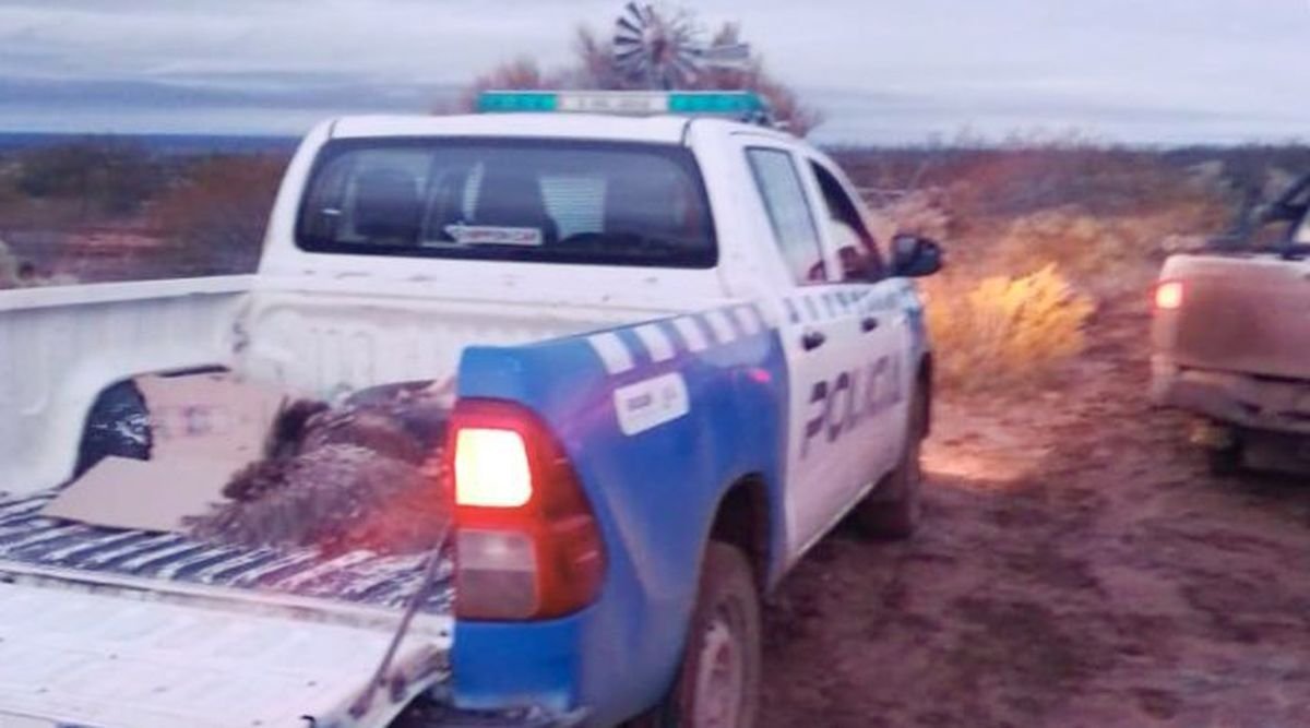 Neuqu&eacute;n: cazadores ilegales detenidos en un procedimiento