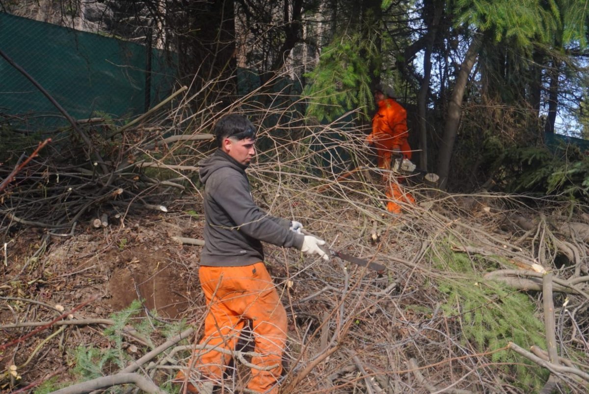 Comienza la construcci&oacute;n de bicisendas en Bariloche: d&oacute;nde ser&aacute; la primera intervenci&oacute;n