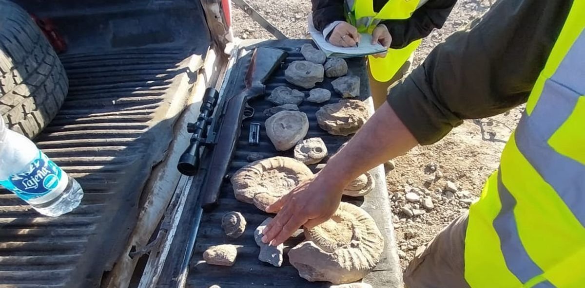 Neuqu&eacute;n: fauna secuestr&oacute; armas de fuego y 47 truchas