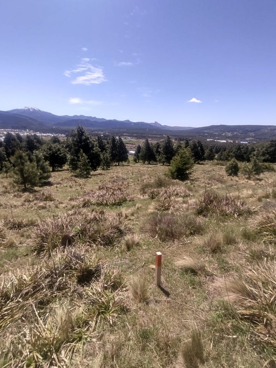 San Mart&iacute;n de los Andes: realizaron las primeras demarcaciones de los 200 nuevos lotes en Chacra 30