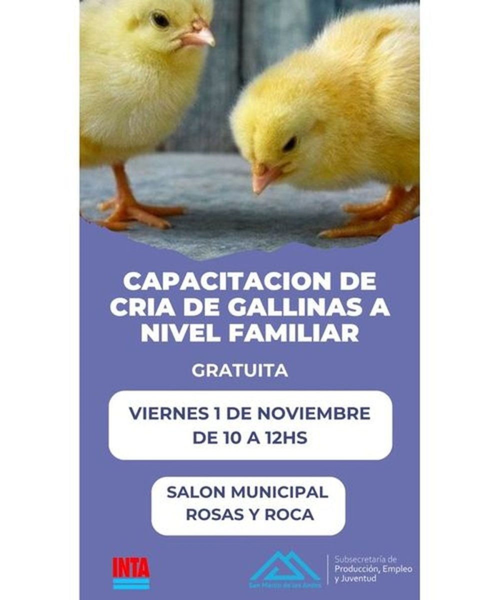 San Mart&iacute;n de los Andes: capacitaci&oacute;n sobre la cr&iacute;a de gallinas