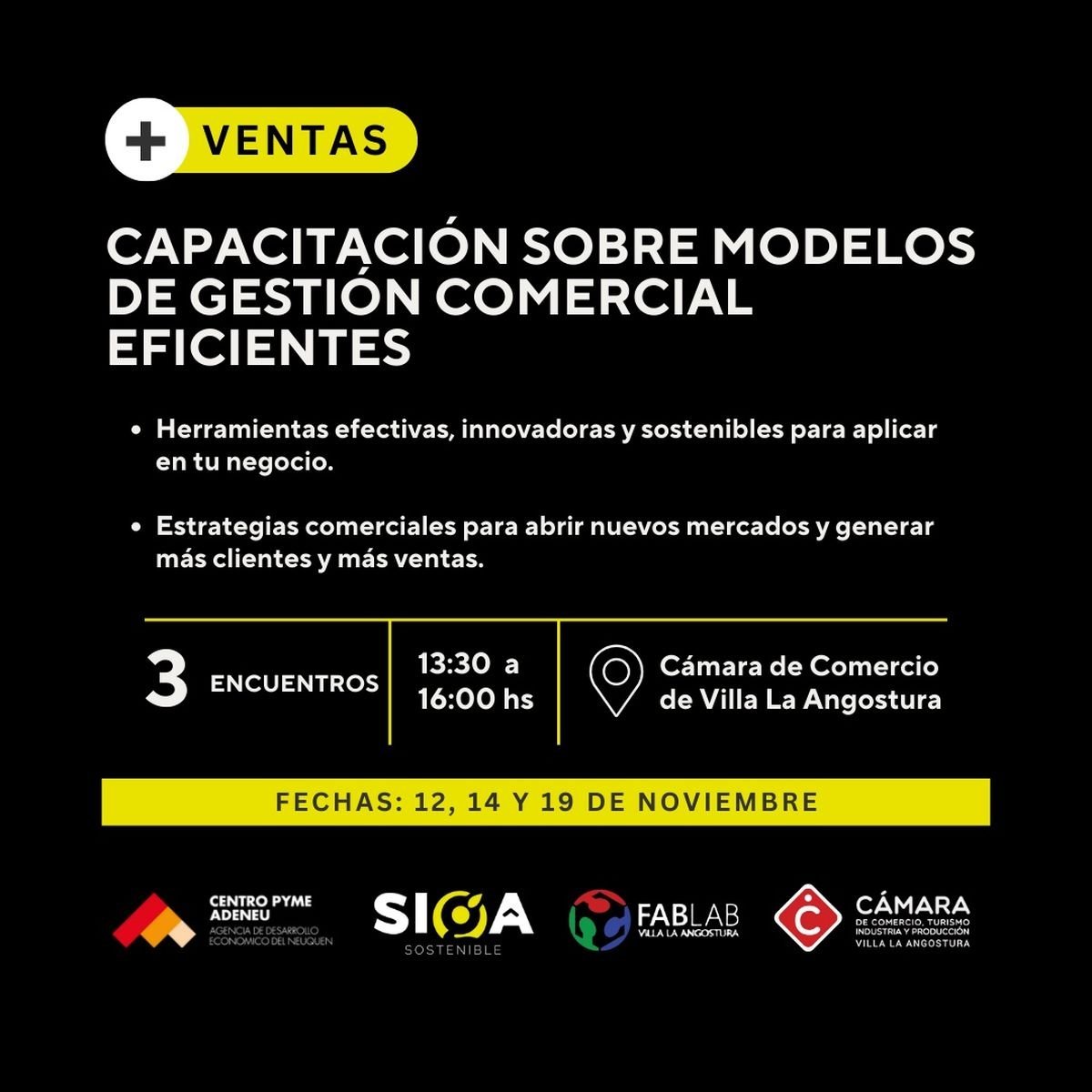 Villa La Angostura: capacitaci&oacute;n sobre estrategias y modelos de gesti&oacute;n comercial para las venta