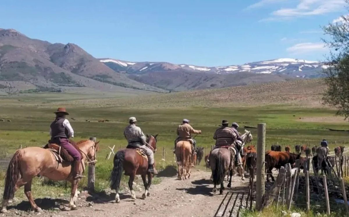 En Neuqu&eacute;n, solicitan tomar medidas de precauci&oacute;n por arreo de animales en las rutas
