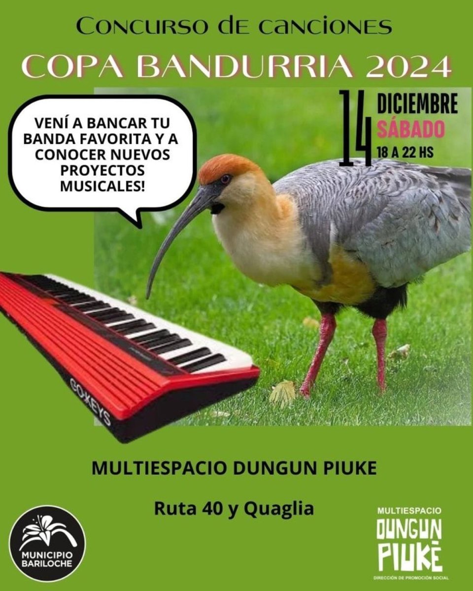 Llega a Bariloche un concurso de canciones que promueve el talento local