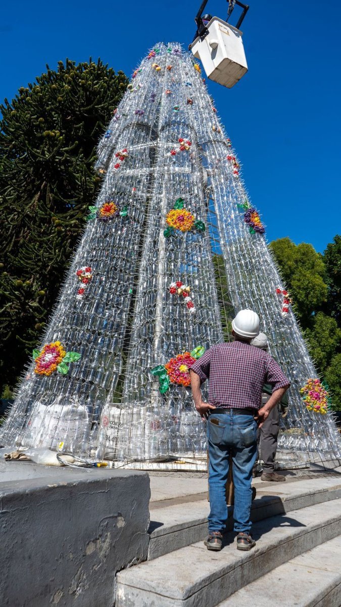 San Mart&iacute;n de los Andes: comenz&oacute; el armado del pino navide&ntilde;o