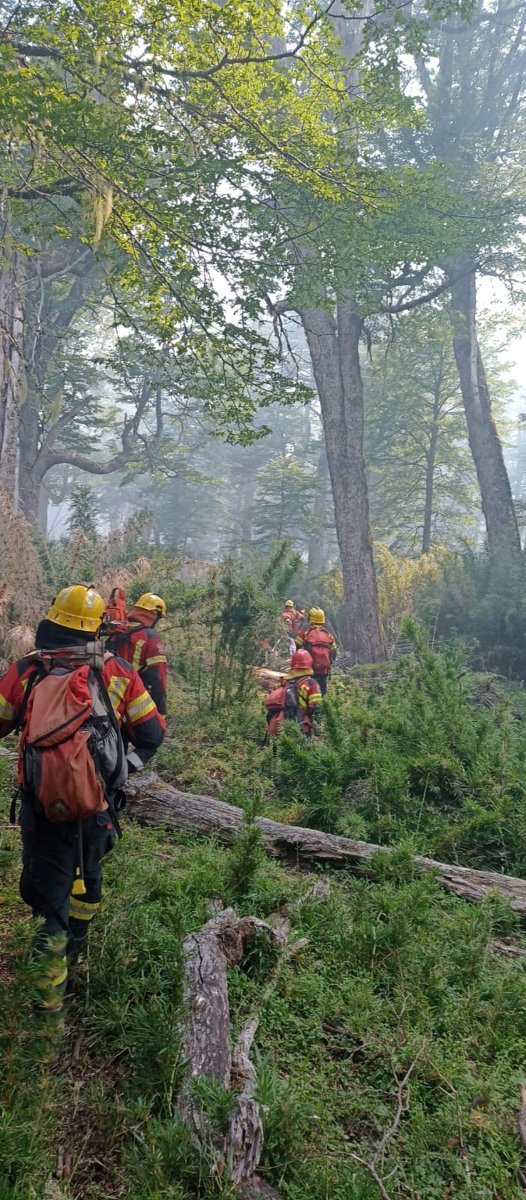 Incendio en el Parque Nacional Nahuel Huapi