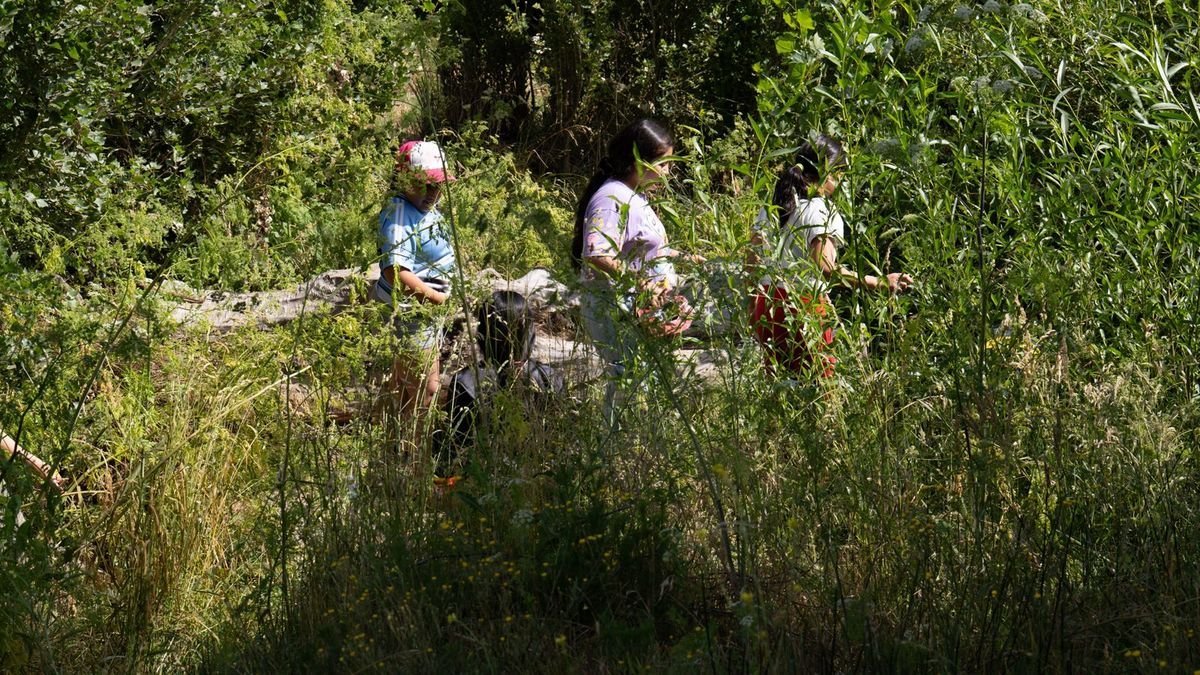 San Mart&iacute;n de los Andes: exitoso comienzo de acitividades en la colonia municipal de verano