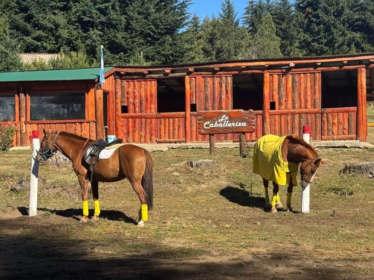 Nuevo proyecto de Equinoterapia en Villa La Angostura