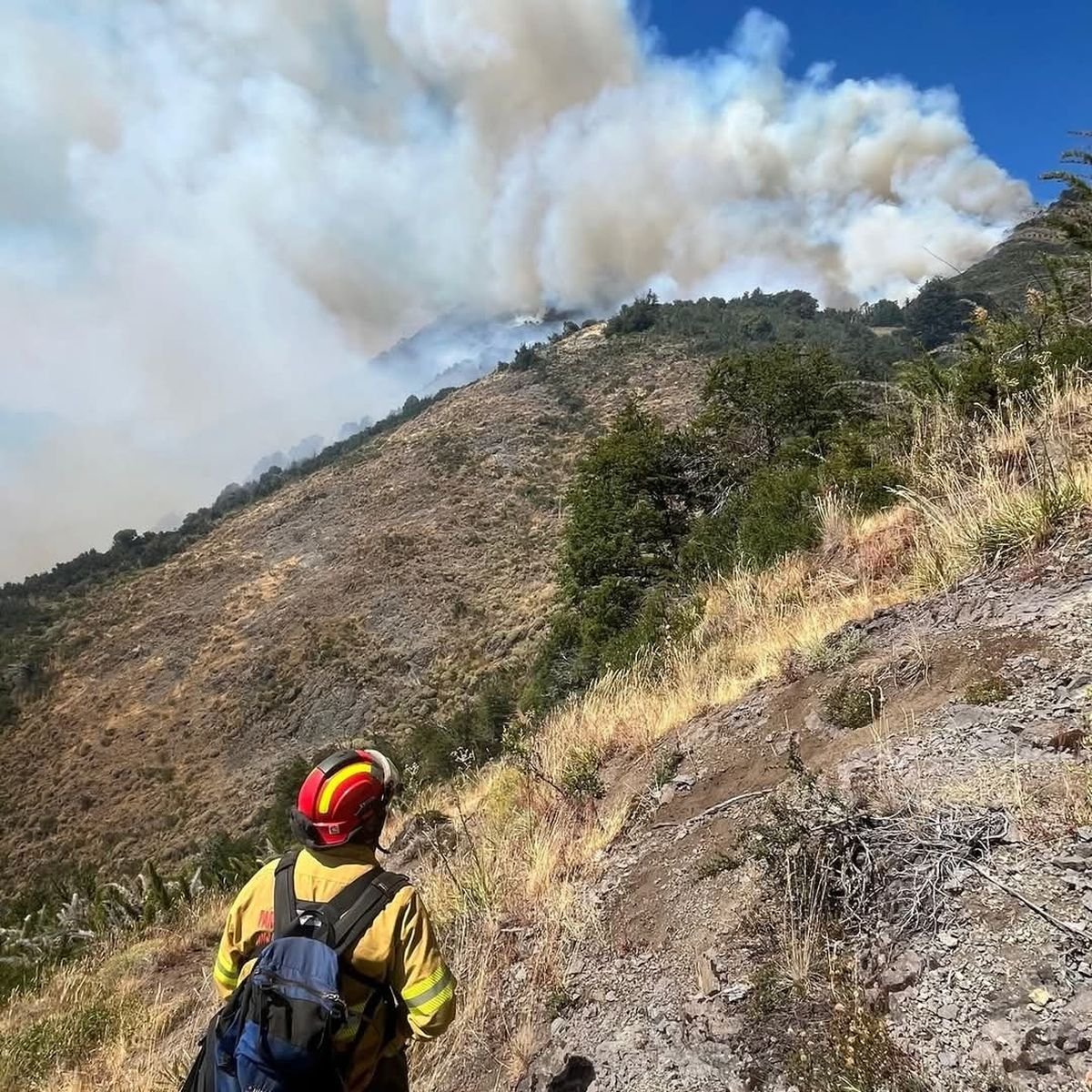 Incendio en Valle Magdalena: informaci&oacute;n del Parque Nacional Lan&iacute;n