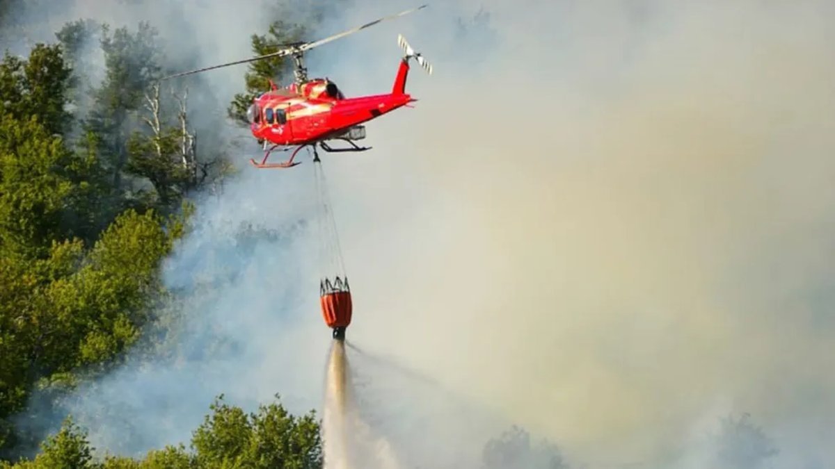 Parque Nacional Lan&iacute;n: el incendio en Valle Magdalena ya afect&oacute; aproximadamente 15.000 hect&aacute;reas