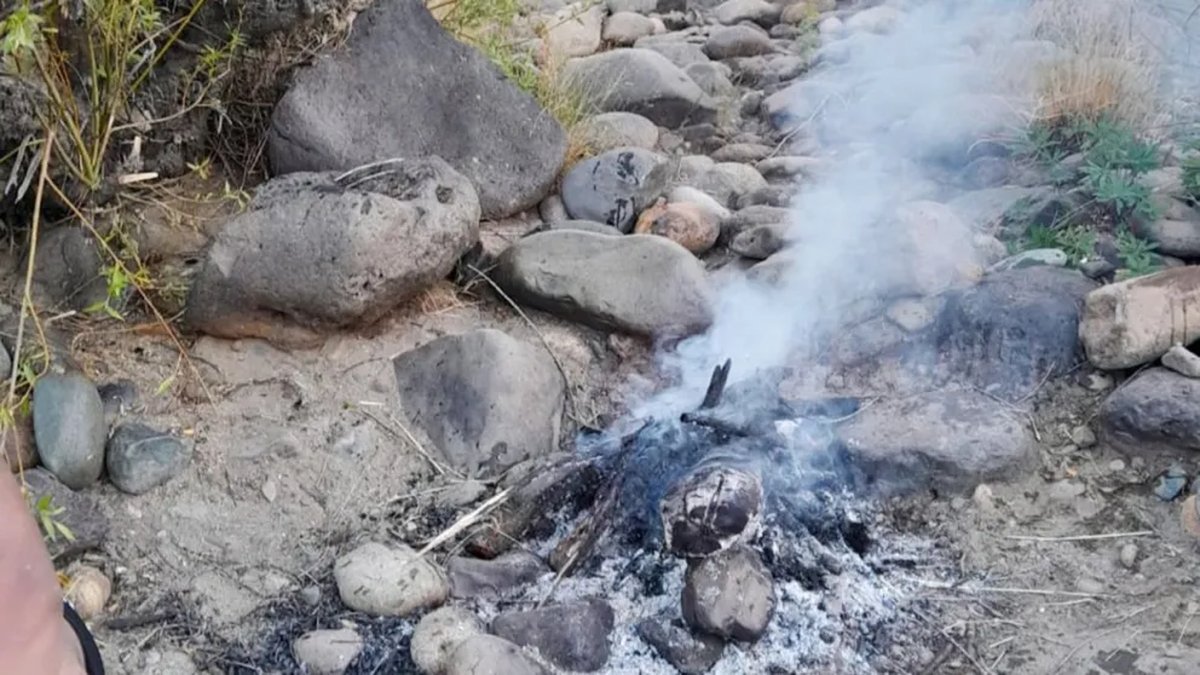 Neuqu&eacute;n: Fauna extingui&oacute; 132 fogones por la imprudencia de acampantes