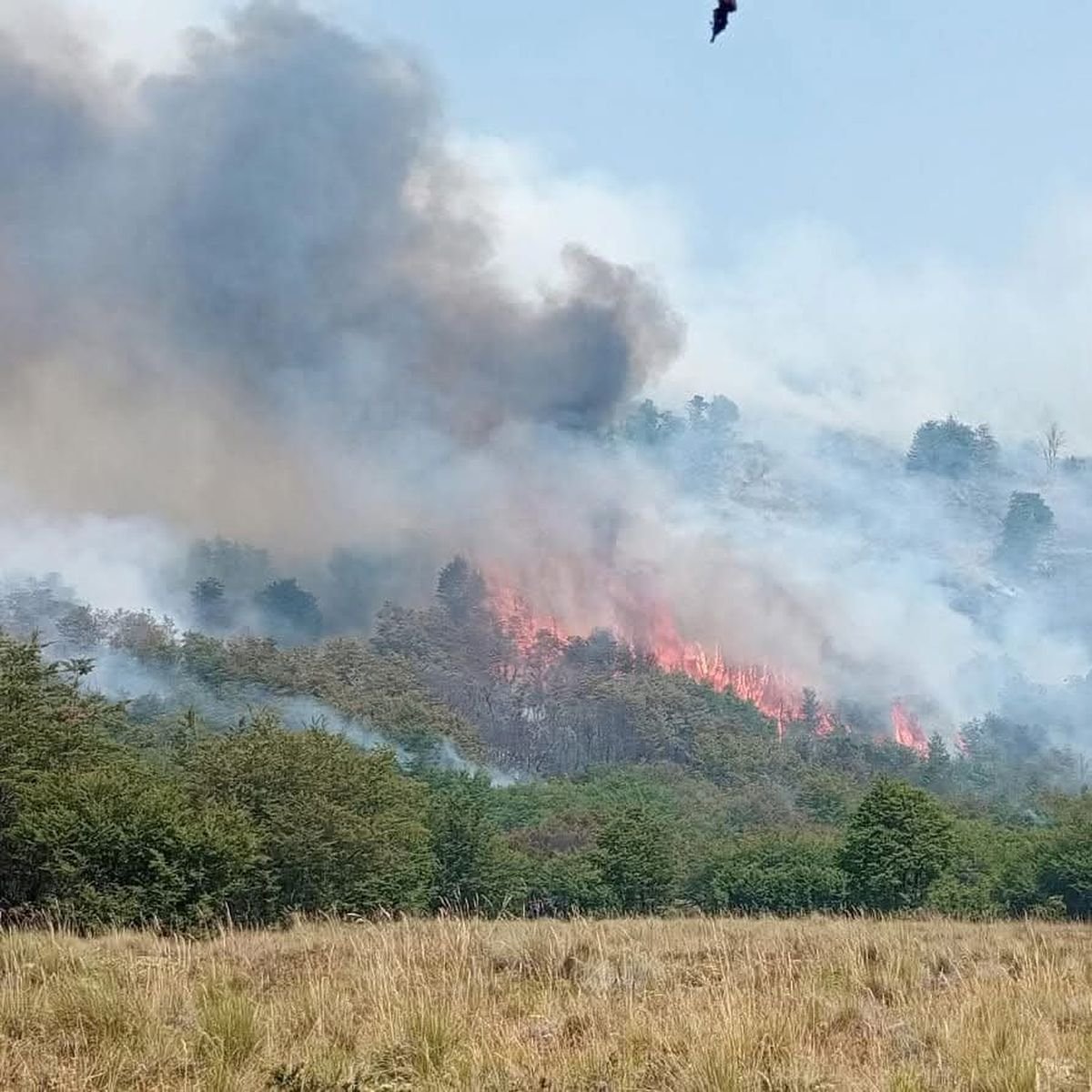 Neuqu&eacute;n: prohibieron el uso de fuego dentro del Sistema Provincial de &Aacute;reas Naturales Protegidas
