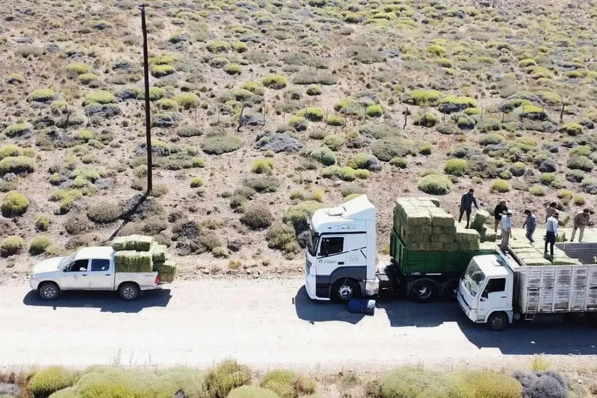 Neuqu&eacute;n: brindan asistencia a los pobladores en las zonas cercanas al fuego